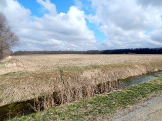 Property photo 22 - MAJOR LAND AUCTION - 313+/- ACRES OFFERED IN 7 TRACTS IN IROQUOIS COUNTY, ILLINOIS